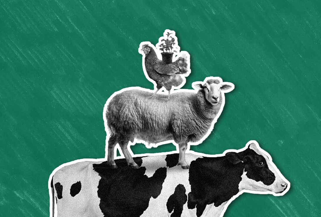 Unbound Blog Headerimages 17