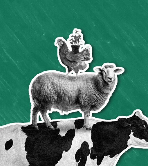 Unbound Blogtiles Sizing 16