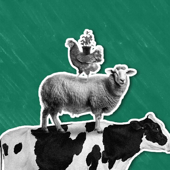 Unbound Blogtiles Sizing 16