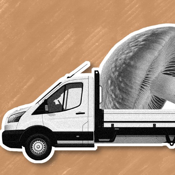 Unbound Blogtiles Sizing 18