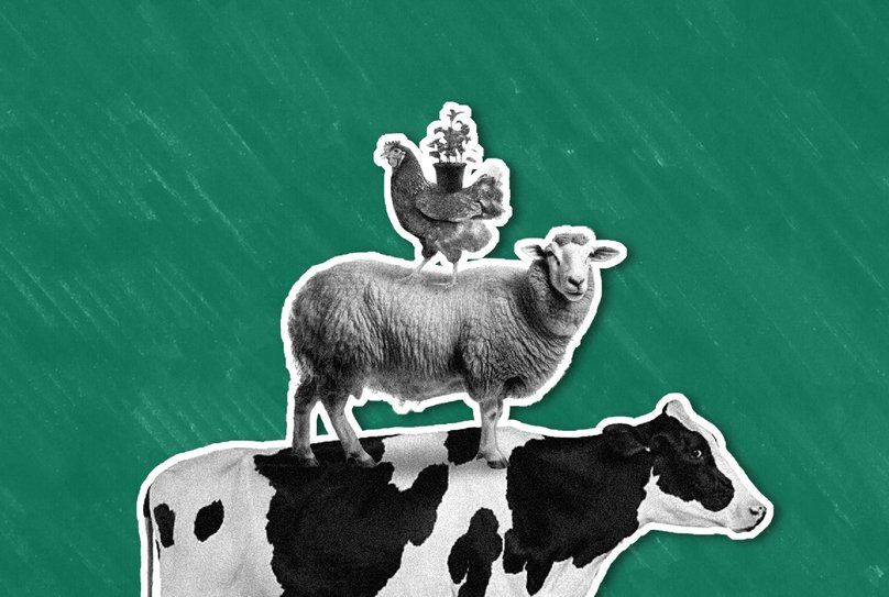 Unbound Blogtiles Sizing 16