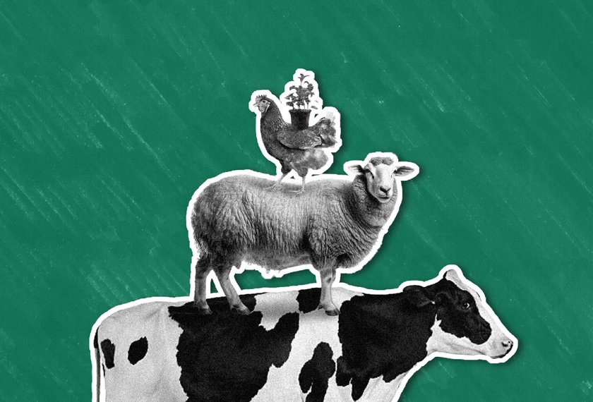 Unbound Blogtiles Sizing 16