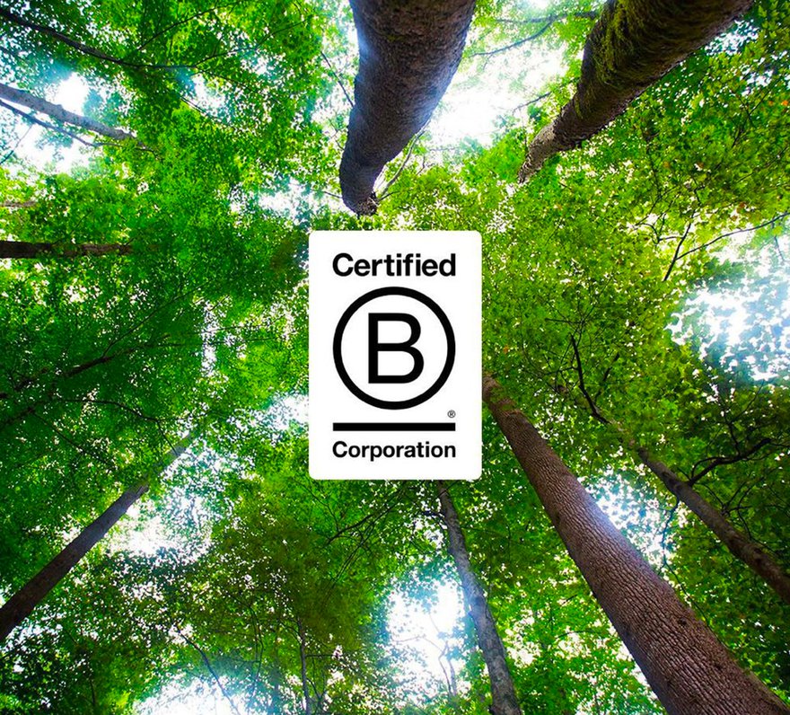 Branding Ethical Sustainability Packaging 06