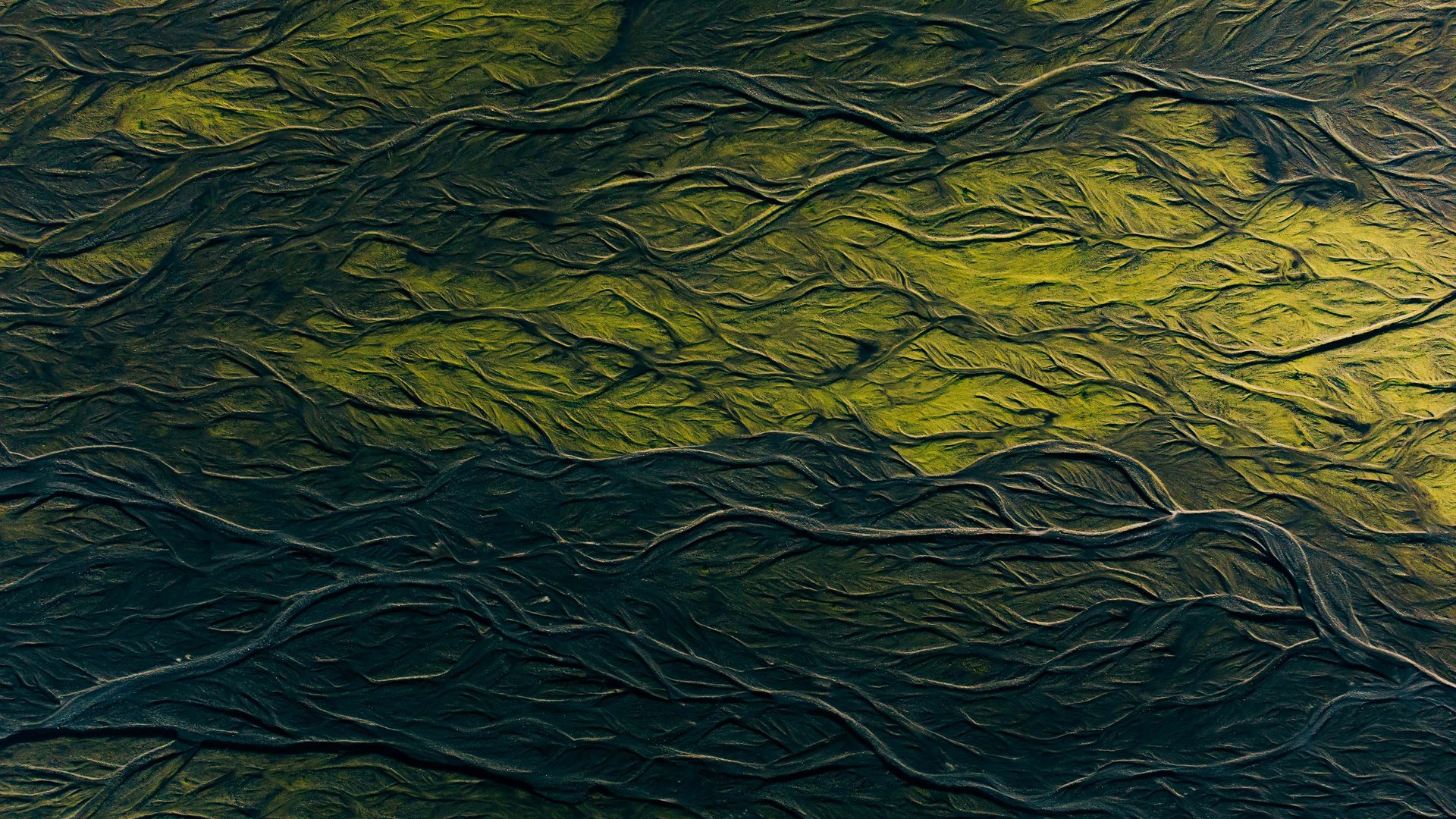 Studio Unbound Packaging Designagency Sustainability